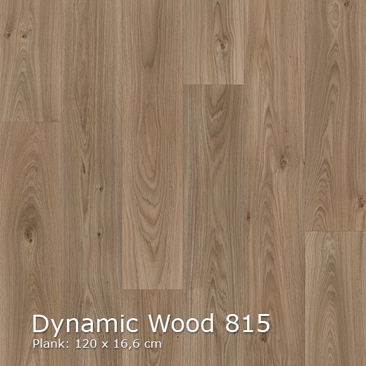 Dynamic Wood-815